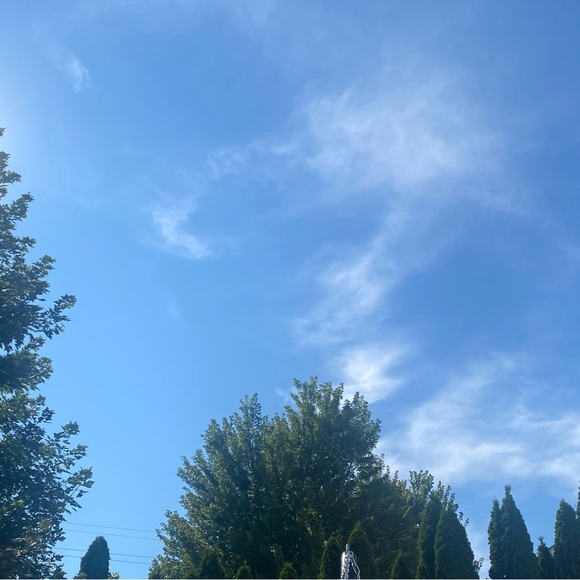 Meet your Posher, Garneisha - Picture 1 of 1